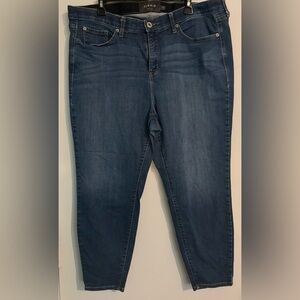 Torrid Premium Womens 22S Jeans High waisted Stretch‎ No Distressing Skinny